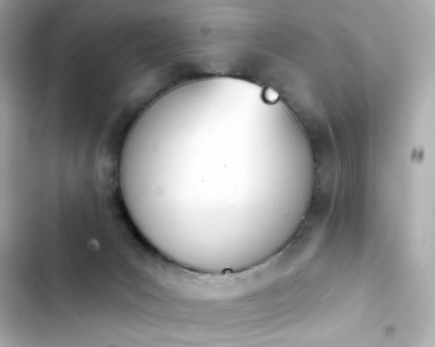 X0000103930031200809191401