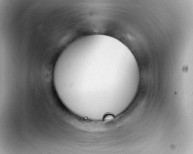 X0000103930032200809191401