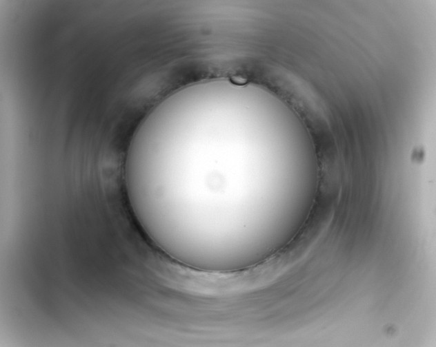 X0000103930034200809191401