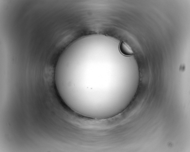 X0000103930036200809191401