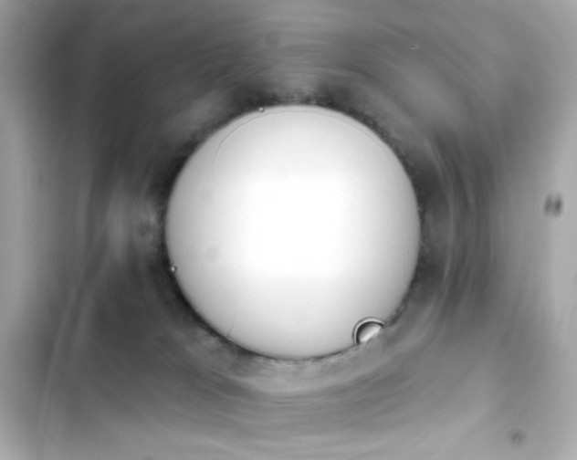 X0000103930037200809191401
