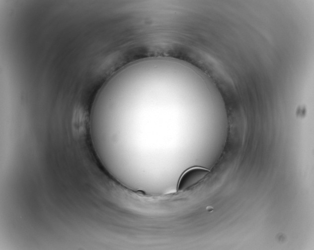 X0000103930038200809191401