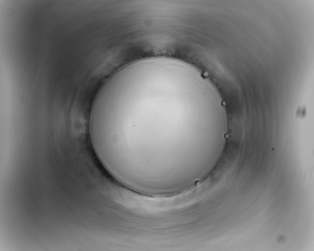 X0000103930039200809191401