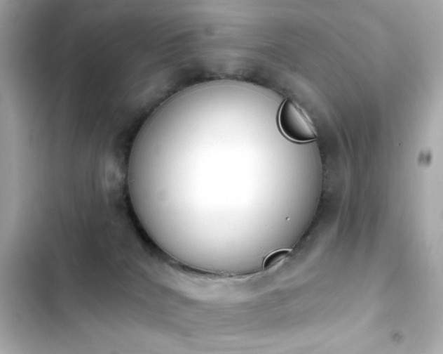 X0000103930040200809191401