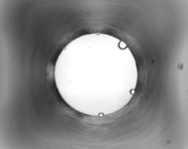 X0000103930041200809191401