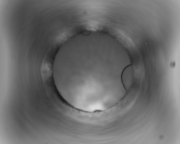 X0000103930043200809191401
