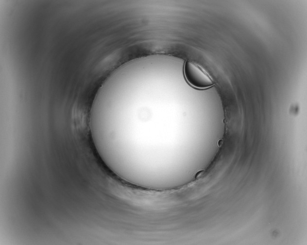 X0000103930044200809191401