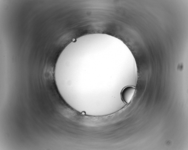 X0000103930045200809191401