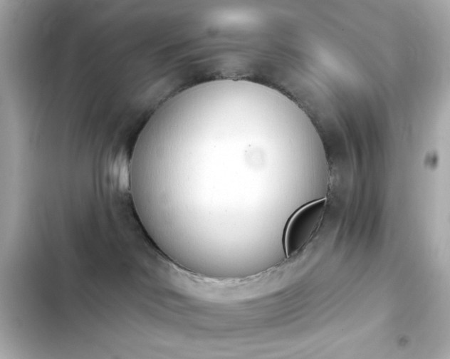 X0000103930046200809191401