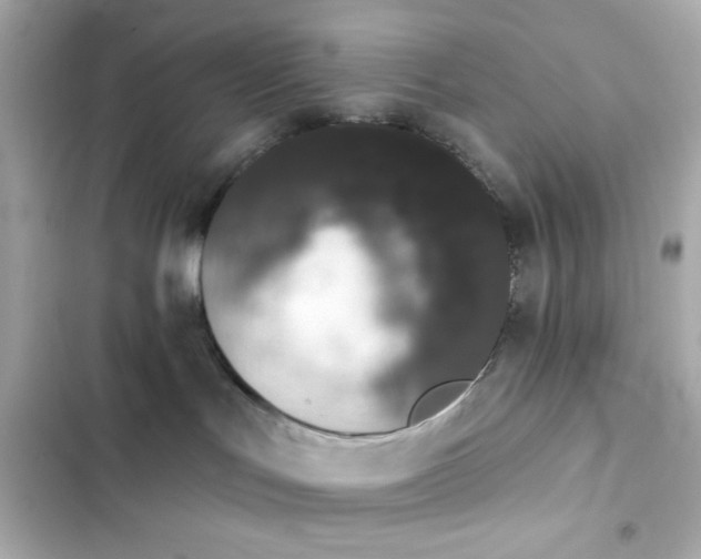 X0000103930047200809191401