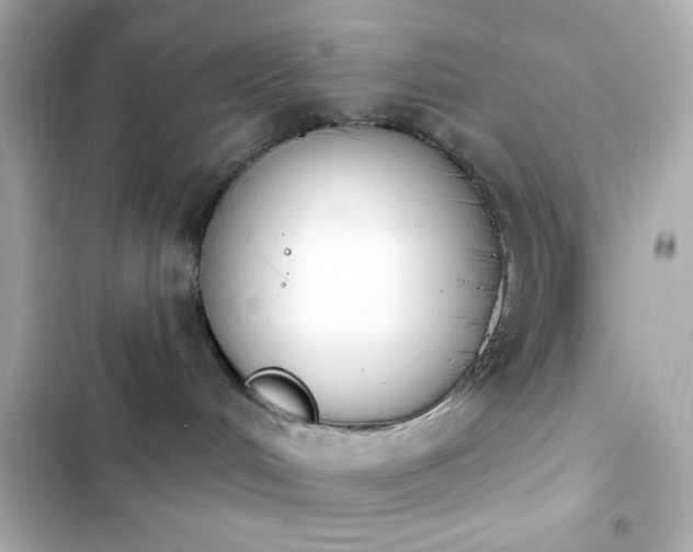 X0000103930048200809191401