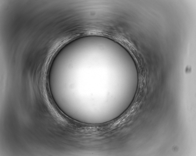 X0000103930049200809191400