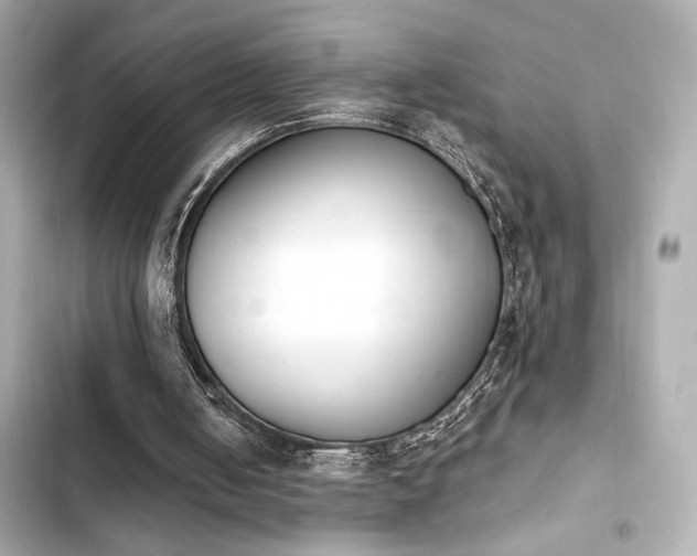 X0000103930050200809191400