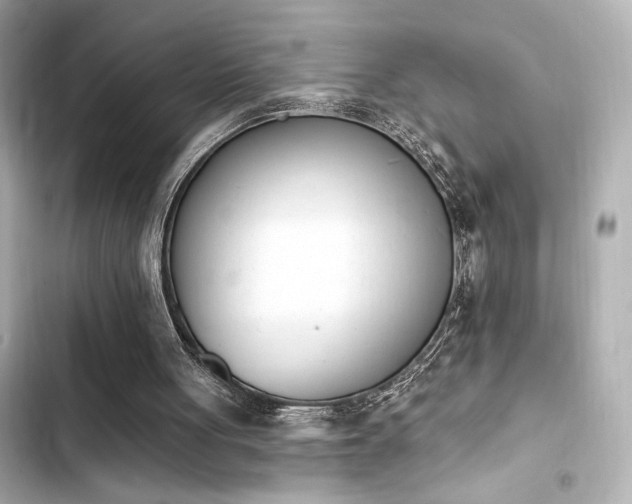 X0000103930051200809191400
