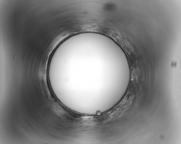 X0000103930052200809191400