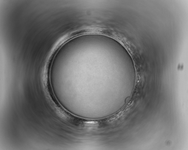 X0000103930053200809191400