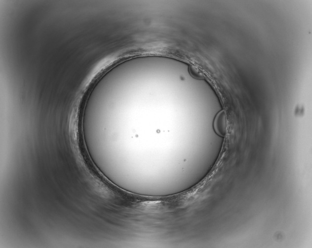 X0000103930054200809191400