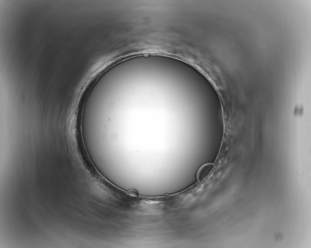X0000103930055200809191400