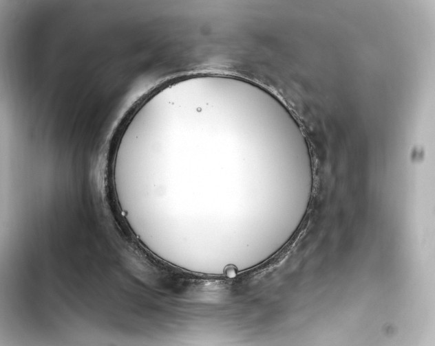 X0000103930056200809191400