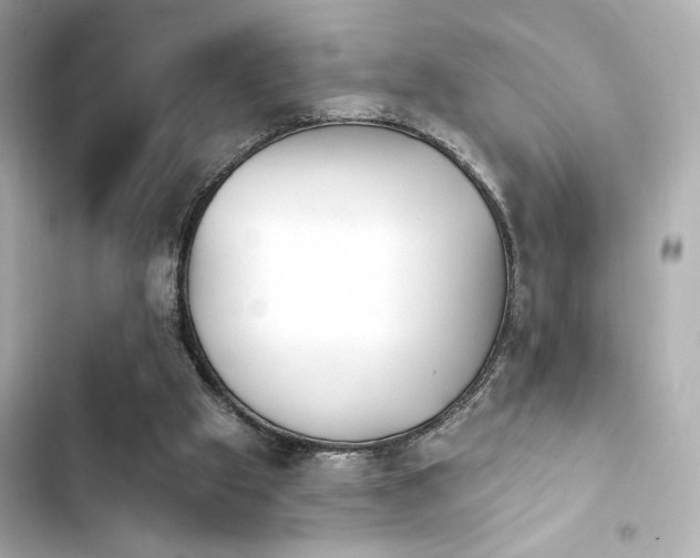 X0000103930057200809191400