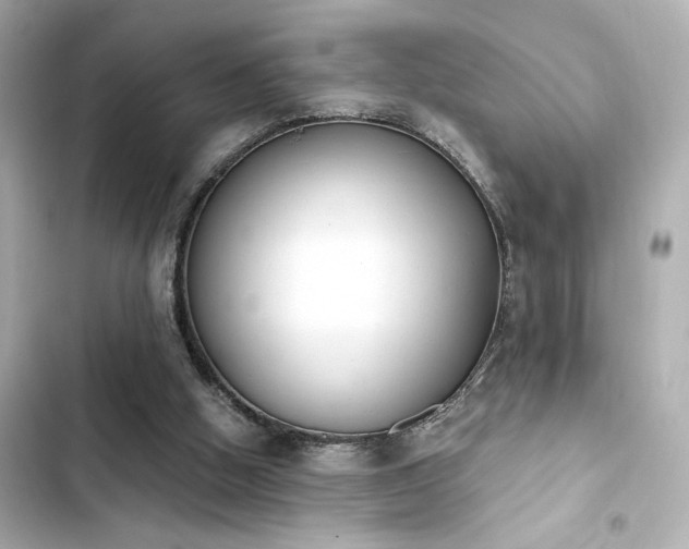X0000103930058200809191400
