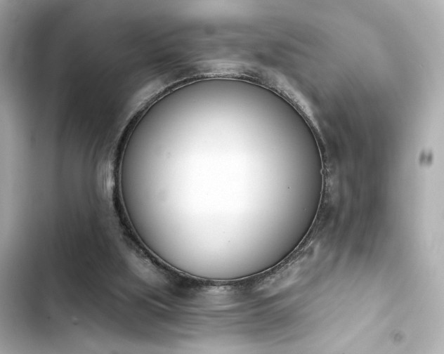 X0000103930059200809191400