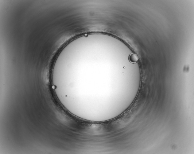 X0000103930060200809191400