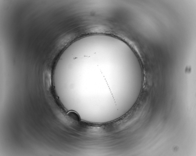 X0000103930061200809191400