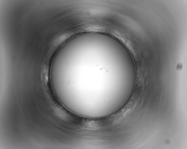 X0000103930062200809191400