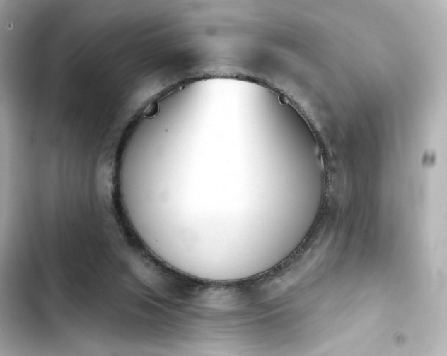 X0000103930063200809191400
