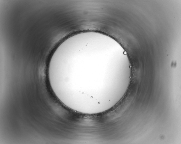 X0000103930064200809191400