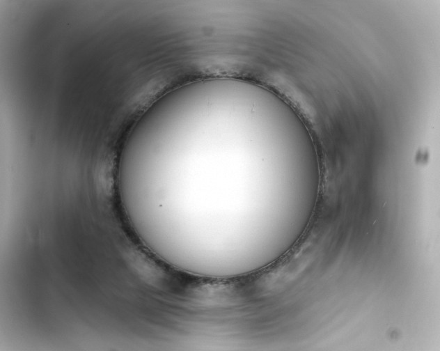 X0000103930065200809191400