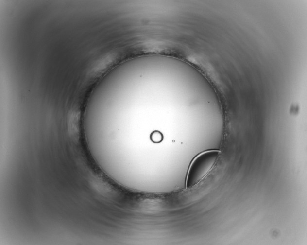 X0000103930066200809191400