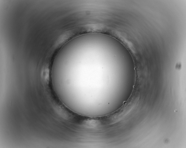 X0000103930067200809191400