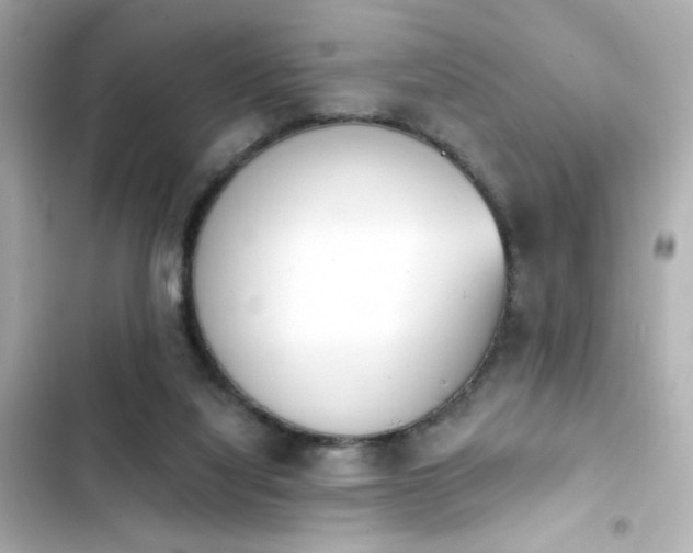 X0000103930068200809191400