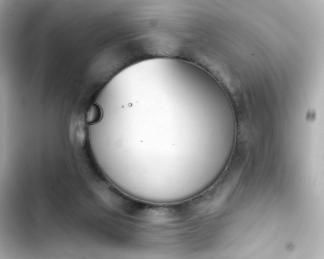 X0000103930069200809191400