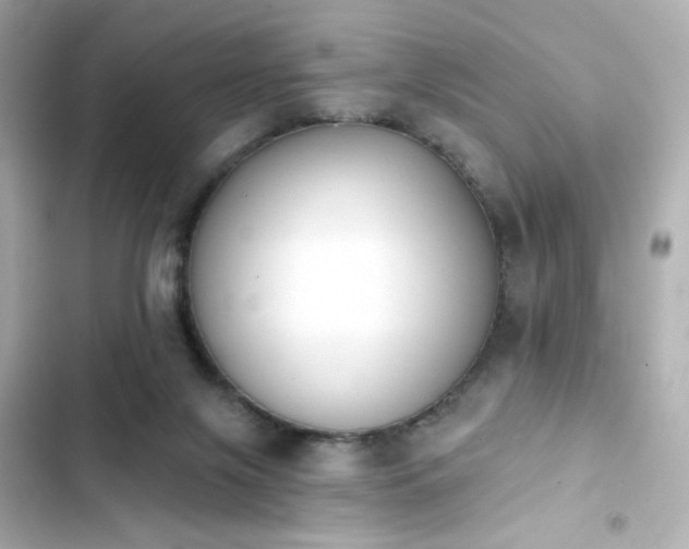 X0000103930071200809191400