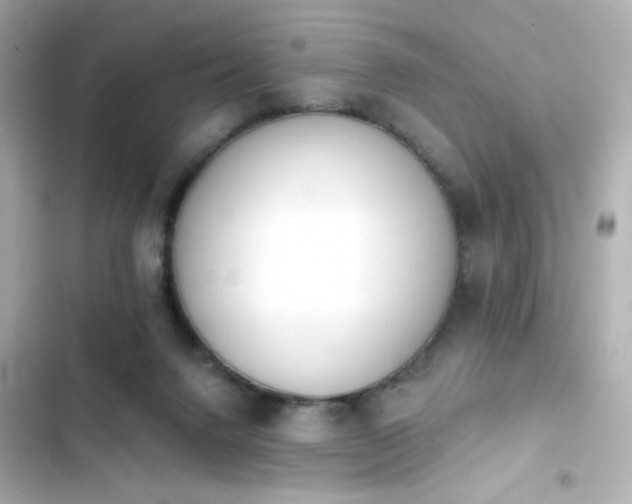 X0000103930072200809191400