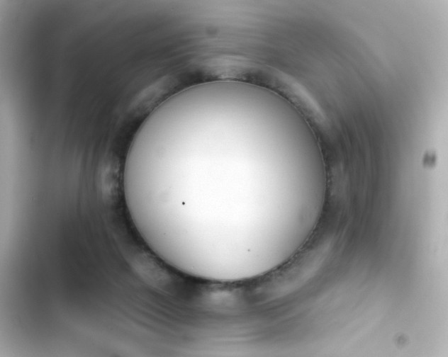 X0000103930073200809191400
