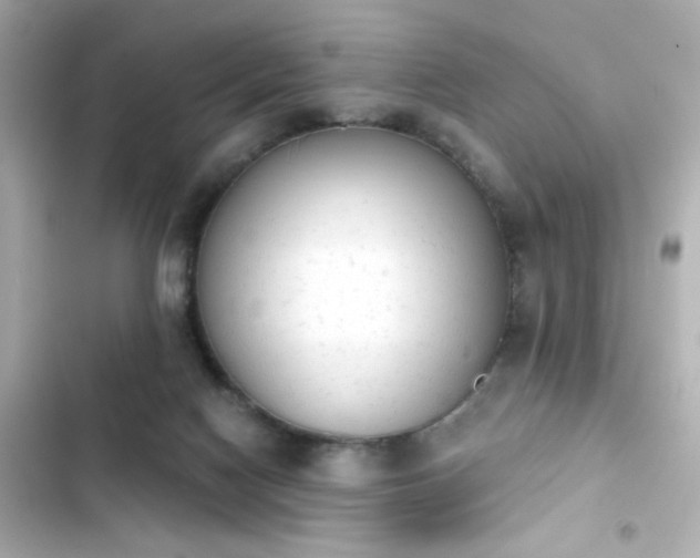 X0000103930074200809191400