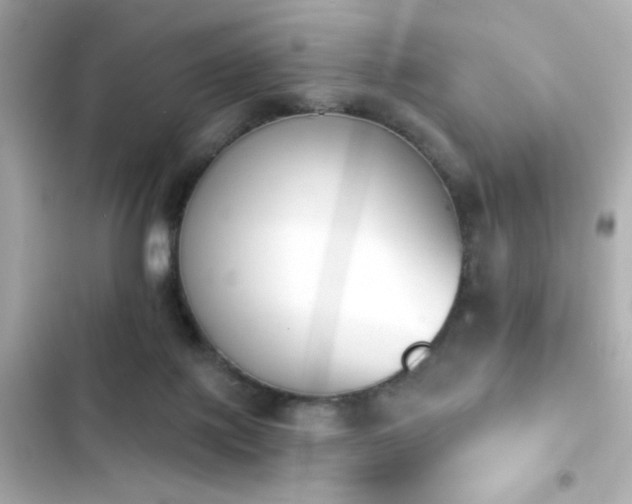 X0000103930075200809191400