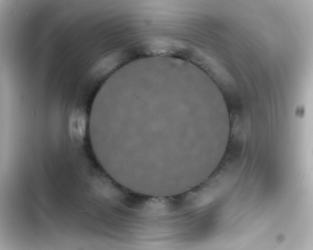 X0000103930076200809191400