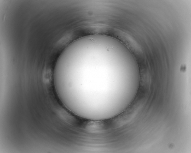 X0000103930077200809191400