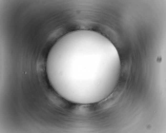 X0000103930078200809191400