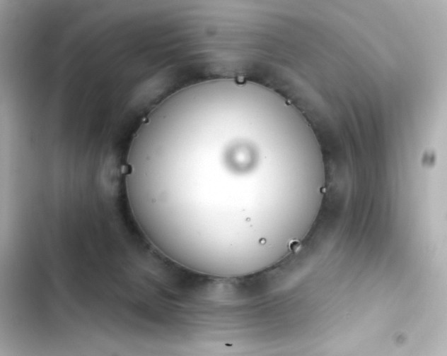 X0000103930080200809191400