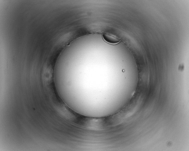 X0000103930081200809191400