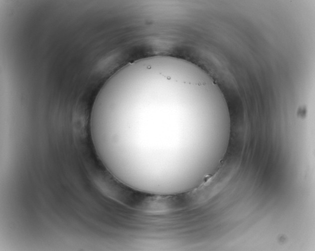 X0000103930082200809191400