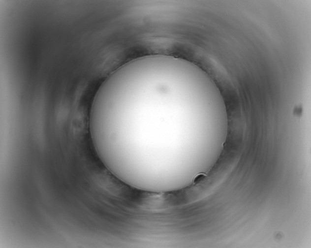 X0000103930083200809191400