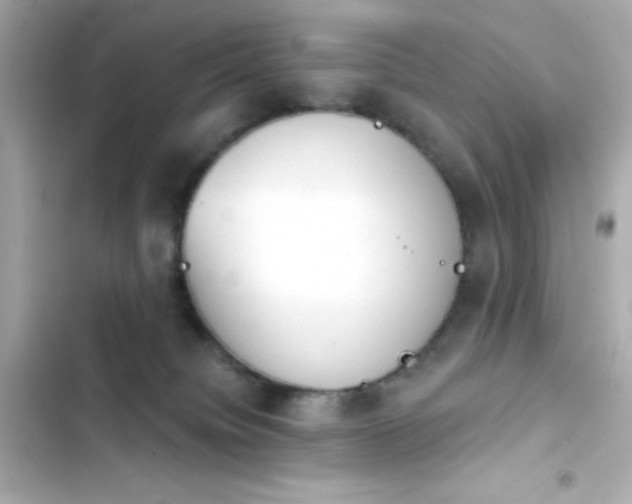 X0000103930084200809191400