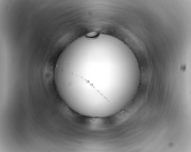 X0000103930085200809191400